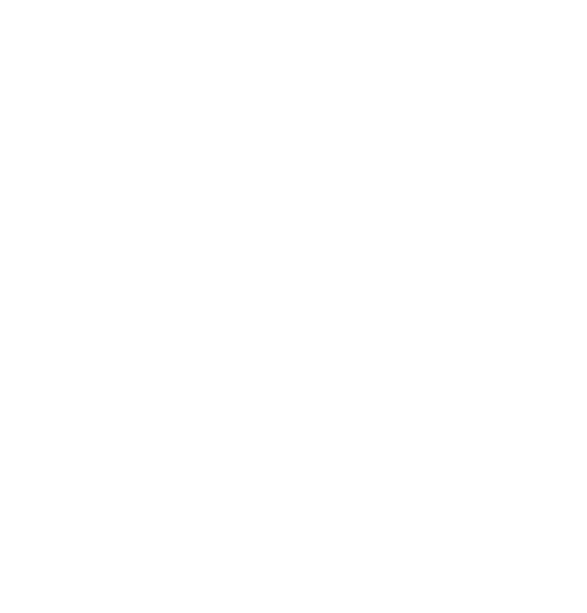 NSGA-WHITE